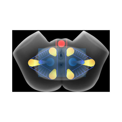 Diagram showing internal vibrating and squeezing mechanisms of a life-size dual tunnel masturbator.