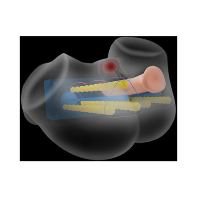 Diagram showing internal vibrating and squeezing mechanisms inside a black life-size masturbator model.