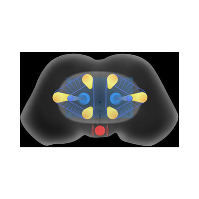 Diagram showing the internal vibrating and squeezing mechanism of a dual-tunnel masturbator device.