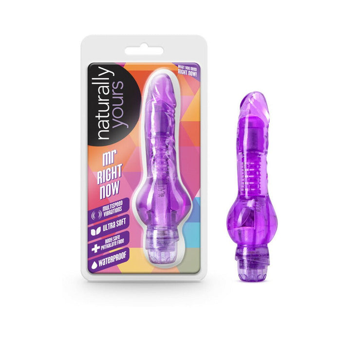 Mr Right Now Realistic Vibrator - SexToy.com