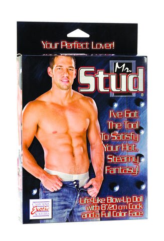 Mr Stud Love Doll Lifelike Inflatable With Penis 8 Inches | SexToy.com