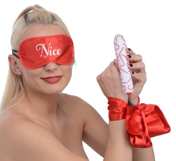Naughty Holiday Kit | SexToy.com