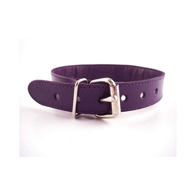 Purple leather thin collar with silver buckle and multiple adjustment holes on white background
