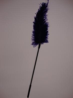Ostrich feather ticklers -Purple | SexToy.com