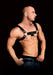 Ouch Costas Solid Structure 1 Black Chest Harness | SexToy.com