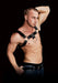 Ouch Costas Solid Structure 2 Black Chest Harness | SexToy.com