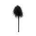 Black feather tickler with a soft, fluffy plume and a slender handle for sensual foreplay.