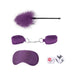 Purple feather tickler, adjustable velvet handcuffs, satin blindfold, and two dice from an introductory bondage kit.