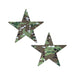 Pair of star-shaped nipple pasties with military multi-cam camouflage pattern on white background