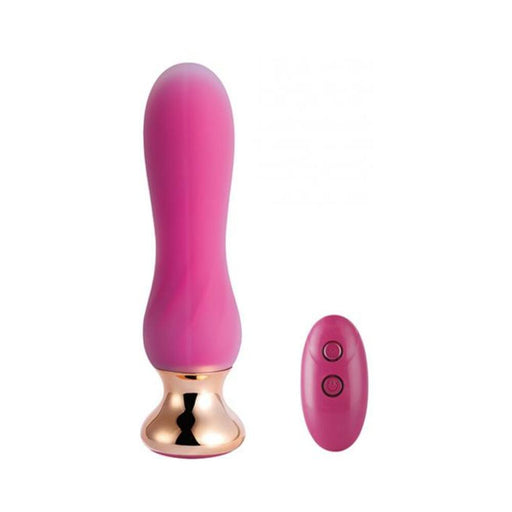 Pink Holic Curved Remote Vibrating Anal Plug - SexToy.com