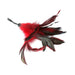 Red and black rooster feather tickler with a black wrist cord on a white background.