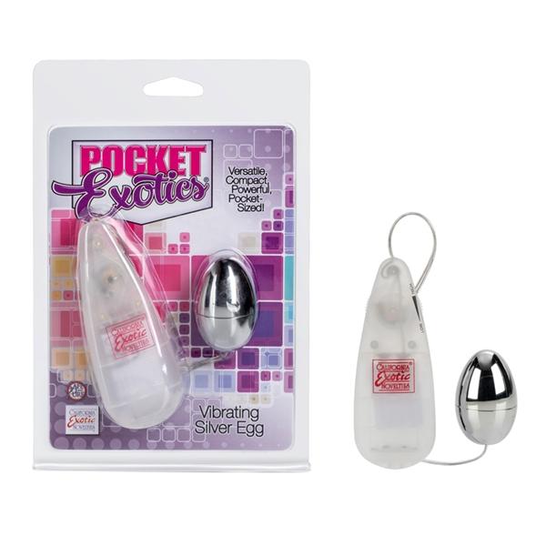 Pocket Exotics Vibrating Silver Egg | SexToy.com