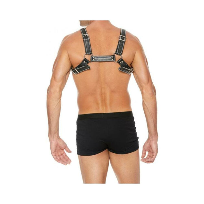 Premium Leather D-ring Zipper Bulldog Harness S/m Black | SexToy.com