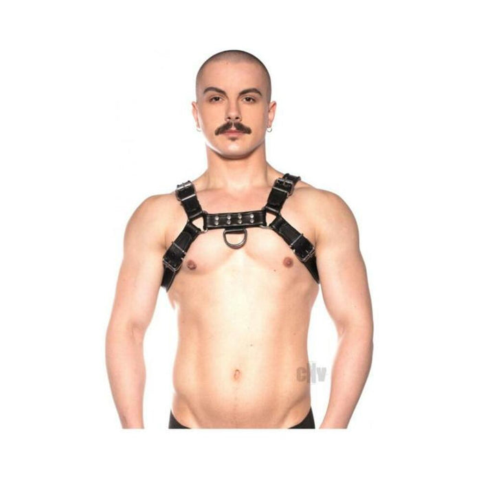 Prowler Red Bull Harness Blk Xxlg - SexToy.com