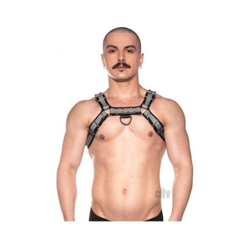 Prowler Red Bull Harness Gry Xxlg - SexToy.com