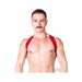Prowler Red Sports Harness Lite Red L/xl - SexToy.com