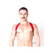 Prowler Red Sports Harness Lite Red S/m - SexToy.com