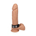 Black adjustable 5-snap sila-flex strap cock ring displayed on a realistic silicone model.