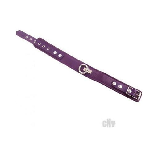 Rouge Plain Collar 1 Ring Purple - SexToy.com