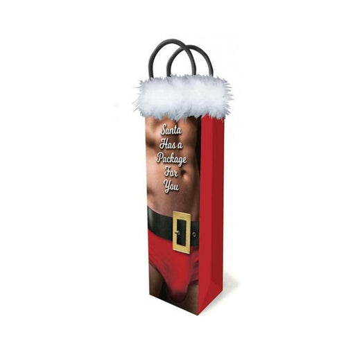 Santa Has A Big Package For You Gift Bag | SexToy.com