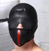 Scorpion Hood With Removable Blindfold And Face Mask | SexToy.com
