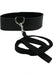 Black neoprene collar with velcro closure and attached black nylon leash with metal clasp.