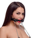 Silicone Bit Gag With Nipple Clamps | SexToy.com