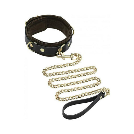 Spartacus Collar & Leash Brown Leather Gold Accent Hardware - SexToy.com