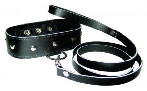 Sportsheets Leather Leash and Collar | SexToy.com