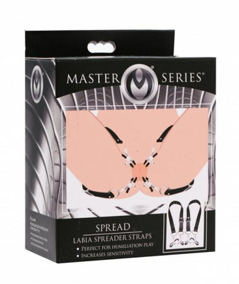Packaging of Master Series Spread Labia Spreader Straps in black with adjustable clamps and thigh straps shown on illustration.