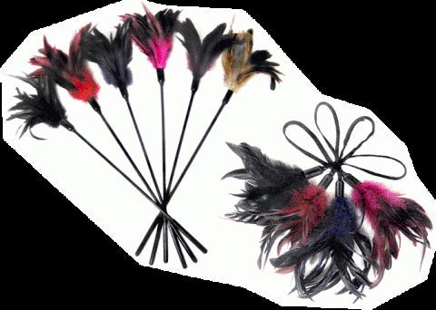 Set of colorful feather ticklers with black handles, featuring vibrant red, pink, purple, and natural tones.