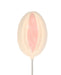 Super Vagina with Stick Butterscotch Lollipop | SexToy.com