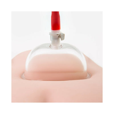 Close-up of a clear acrylic suction cup with red pump attached, demonstrating the Temptasia Intense Pussy Pump System on skin-like material.