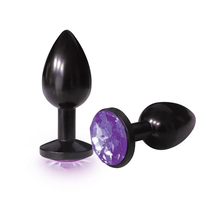 Two sleek black stainless steel plugs with violet jeweled bases displayed on a white background.