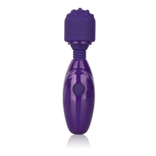 Tiny Teasers Nubby Purple Wand Massager | SexToy.com