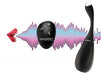 Voice Activated 10x Vibrating Egg With Remote Control | SexToy.com